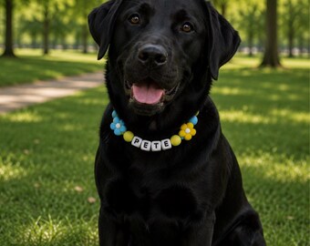 Collana personalizzata per cani con fiori e perline in silicone, regalo personalizzato per la mamma di un cane, collana per cuccioli, accessorio per animali domestici, collana con nome del cane e perline, personalizzata.