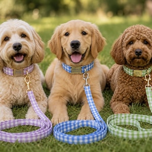 Pode incluir: Três cães com coleiras de padrão xadrez vichy em roxo, azul e verde. Cada coleira tem uma fivela de metal dourado gravada com um nome e uma trela a condizer presa a um mosquetão giratório dourado, pousadas sobre a relva.