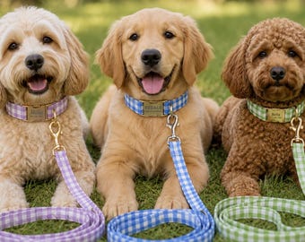 Set personalizzato di collare e guinzaglio per cani con nome inciso sulla fibbia. Collare regolabile personalizzato per animali domestici con nome inciso. Regalo ideale per cuccioli adottati.
