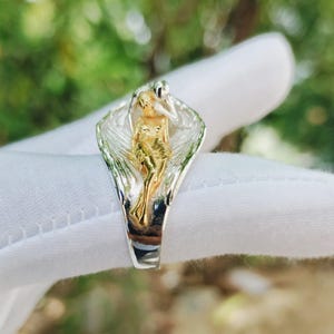 May include: A silver ring featuring a gold-toned figure within a stylized design. The ring's design includes a figure with outstretched arms, set against a backdrop of silver and gold. The ring is shown against a blurred green background.