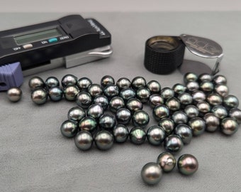 Loose Tahitian Pearls Slightly Baroque - Excellent Luster 8-8.9 mm in Diameter Fancy Color Overtones Peacock, Cherry, Slight Blue Undrilled