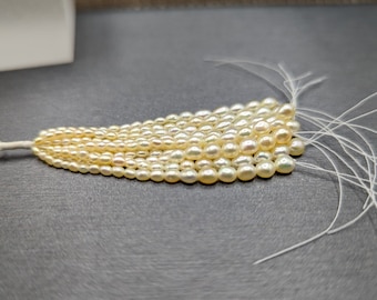 Smallest Pearl in the World - Japanese Keshi Pearls - Tassel - Perfect for Earrings Pendants Golden Natural Color Saltwater Pearls Graduated