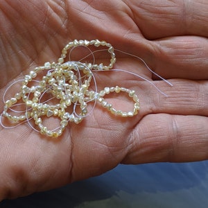 Keshi Pearl Strand - Japanese Akoya Natural Color Saltwater Pearls - Side Drilled - Creamy Off White in Color Full 16 Inch Strand Closeout