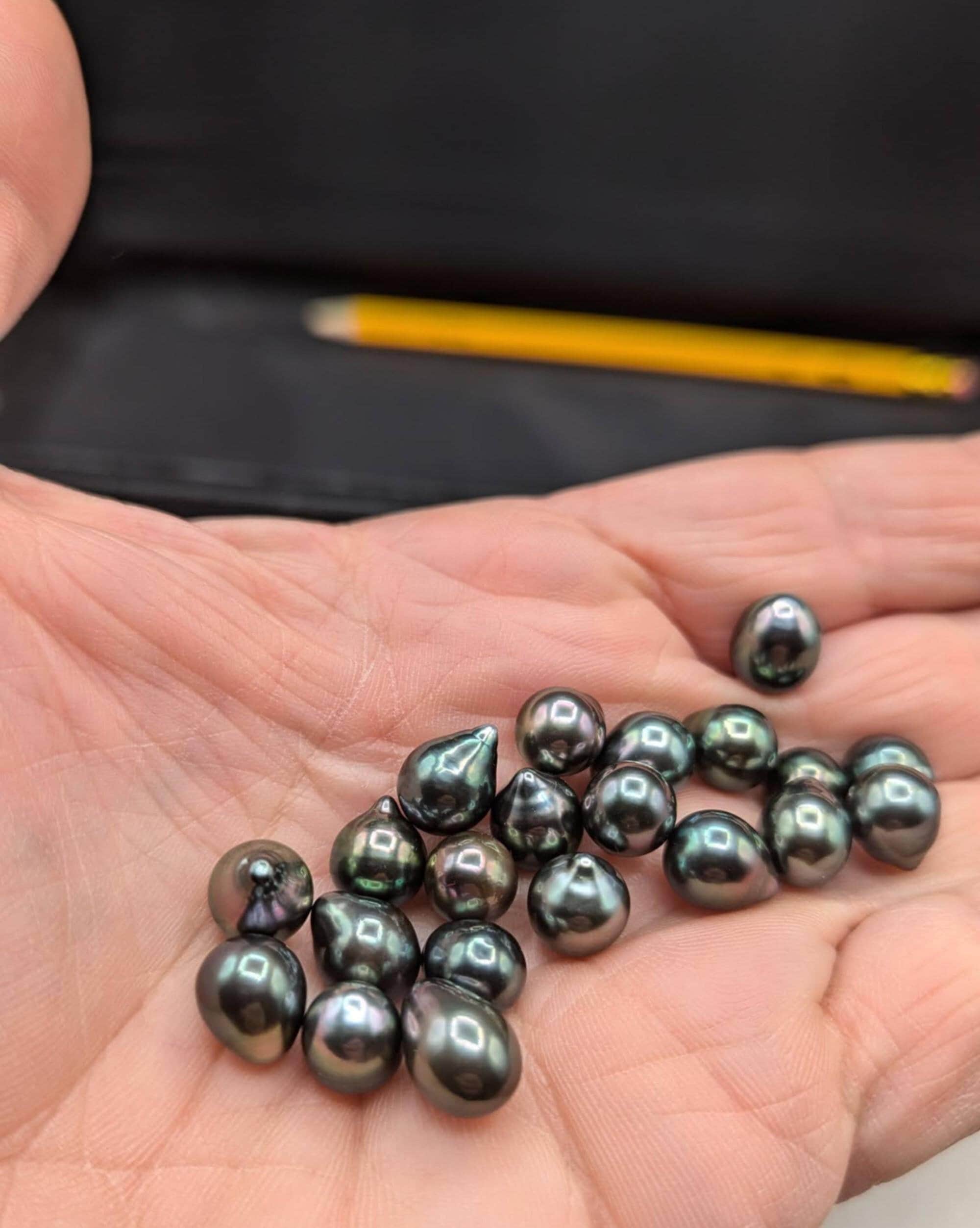 How Much Is A Are Black Pearls Valuable Pearl Stone Black Pearls