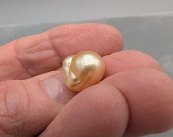 Larger Golden South Sea Pearl - Loose Baroque Saltwater Cultured Undrilled with Lots of Overtones - Natural Color Pearl - 14.4 x 11.6 mm