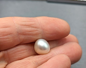 May include: A single, white, oval-shaped pearl. The pearl is smooth and has a slight iridescent sheen.
