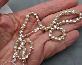 Very Large Japanese Akoya Side Drilled Natural Color Saltwater Keshi Pearls  1 Strand Light Silver with Dark Champagne Overtone Color AAA
