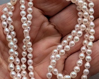 Japanese Akoya Cultured Pearl Strand 2-3mm White with Slight Champagne and Rose Overtone  Saltwater Pearls 16 Inch