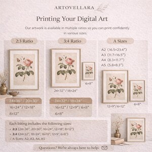 May include: Artwork prints featuring a vintage botanical rose illustration. The image showcases various sizes, including 24x36 inches, 20x30 inches, and A-size options. The prints are available in multiple ratios for versatile display options.