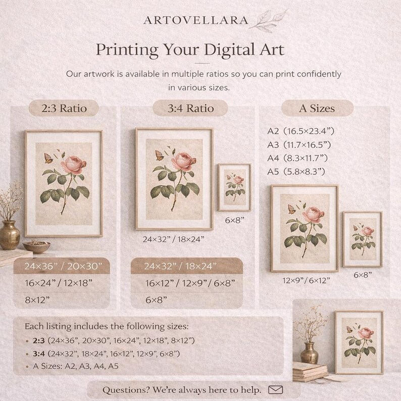 May include: Artwork prints featuring a vintage botanical rose illustration. The image showcases various sizes, including 24x36 inches, 20x30 inches, and A-size options. The prints are available in multiple ratios for versatile display options.