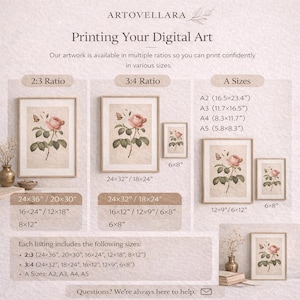 Puede incluir: Impresiones de arte digital con una ilustraci&oacute;n de rosa bot&aacute;nica vintage. La imagen muestra varios tama&ntilde;os, incluyendo 61x91cm, 51x76cm y opciones de tama&ntilde;o A. Las impresiones est&aacute;n disponibles en m&uacute;ltiples proporciones para opciones de visualizaci&oacute;n vers&aacute;tiles.