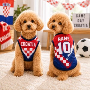 Op de afbeelding: Twee lichtbruine honden met krullend haar dragen bijpassende rood-wit-blauwe sportshirts. Het linker shirt bevat de tekst CROATIA, terwijl het rechter shirt de tekst NAME en het nummer 10 toont met een rood-wit geblokt patroon.
