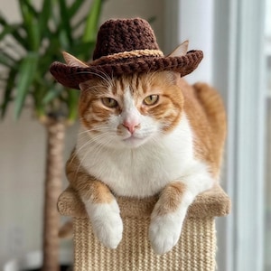 May include: A ginger and white cat wearing a small, brown crochet cowboy hat. The cat is sitting on a beige cat tree, with a serious expression. The hat has a lighter brown band around the crown.