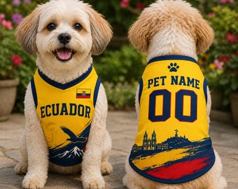Camiseta personalizada para mascotas de Ecuador, camiseta de fútbol personalizada para perros, ropa de fútbol con el horizonte de Quito.