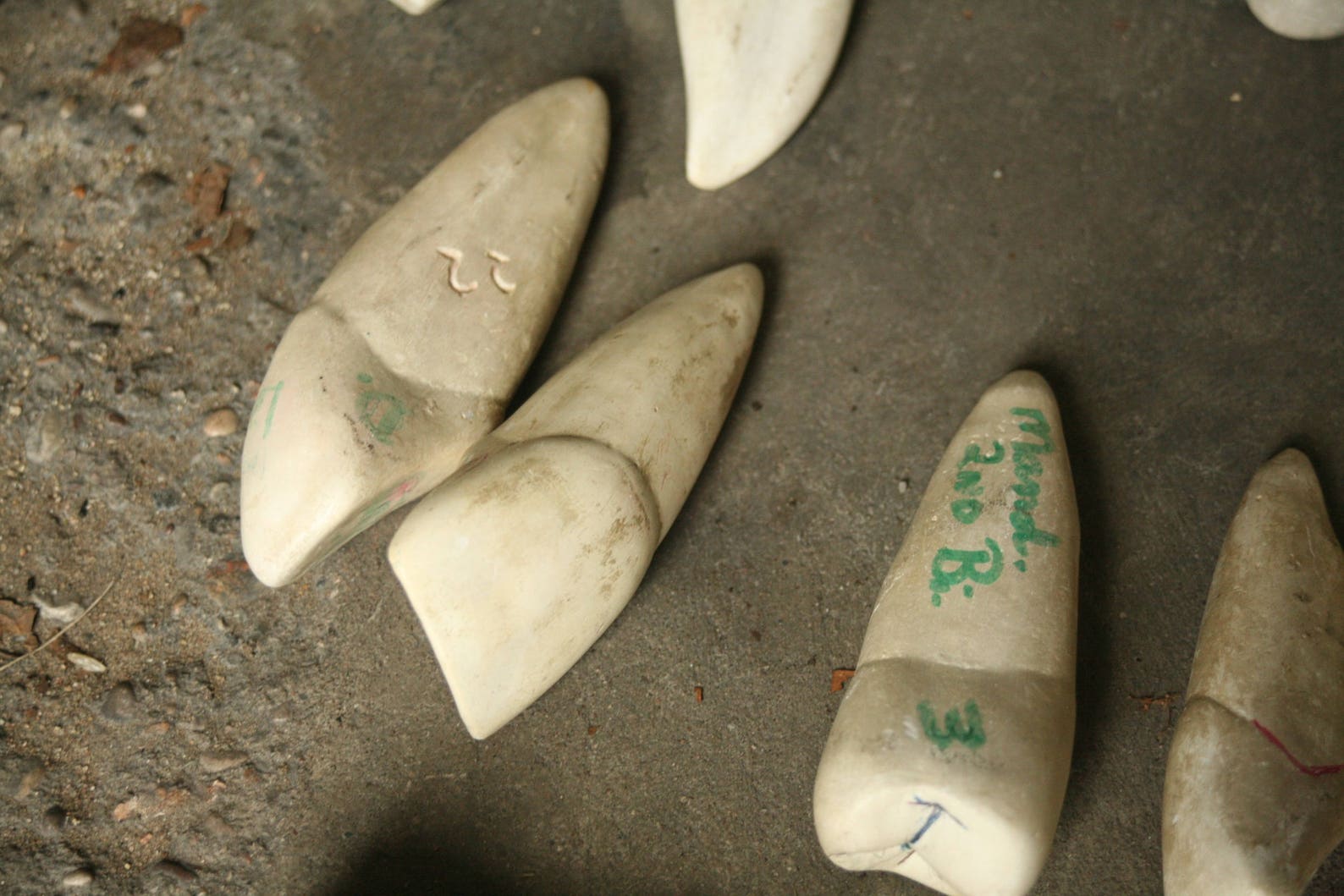 Set of 12 Large Chalk Teeth Teaching Aid Display Dental Etsy