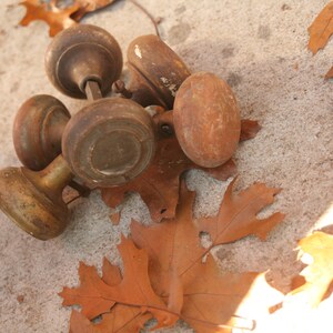 Peut inclure: Plusieurs poignées de porte anciennes en laiton vieilli, posées sur une surface en béton avec des feuilles d'automne séchées, orange-brun. Les poignées ont un design classique et arrondi.