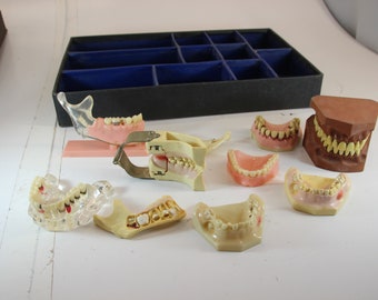 Set of 11, Vintage, Dental, Teaching Aid, Teeth, Vintage Learning Aid, Dental, Creepy Dental, Halloween, Teeth, Dental Display, Dentist