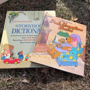 Puede incluir: Dos libros infantiles vintage se exhiben sobre un lecho de hierba seca. Un libro se titula "Richard Scarry's Storybook Dictionary" y el otro "Walt Disney's Pooh Sleepytime Stories". Los libros tienen ilustraciones coloridas.