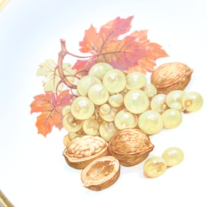 Set of 6, Barter Bavaria, Tea, Coffee, Luncheon, Fall Decor, High End China, German China, Fruit and Nuts, Harvest Colors, Thanksgiving