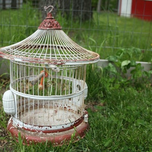 Charmanter, seltener, antiker Metallvogel, Kanarienvogelkäfig, mit Eulen-Details, von HenDryx, circa 1920er Jahre, asiatisch, Hochzeitsdeko, Wohnkultur