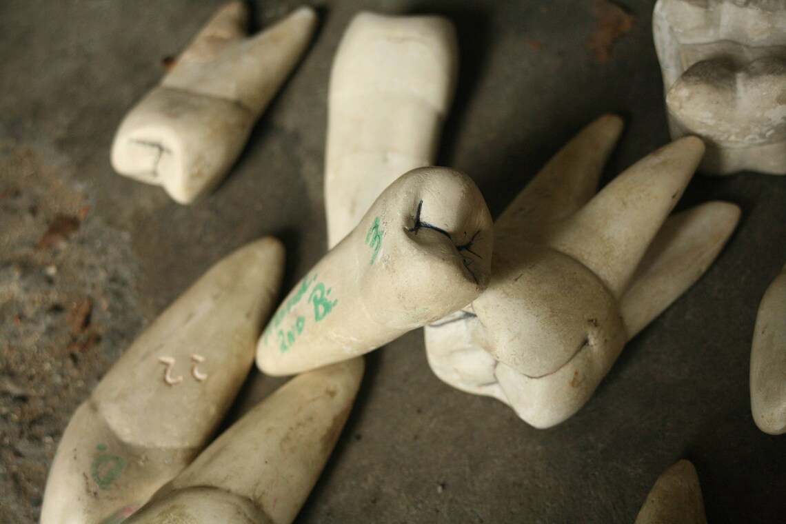 Set of 12 Large Chalk Teeth Teaching Aid Display Dental Etsy