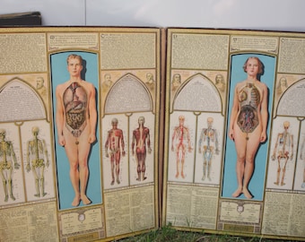 Vintage Bodyscope, Illustrated, Anatomical Book, with Dials, c.1935, Medical Supplies, Doctor's Office, Med. Student, 1930's