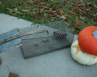 Primitivo, trampa en vivo hecha a mano, animales pequeños, trampa de ratón, diseño del conjunto, decoración de otoño, alambre de zinc, trampa vieja, decoración de metal