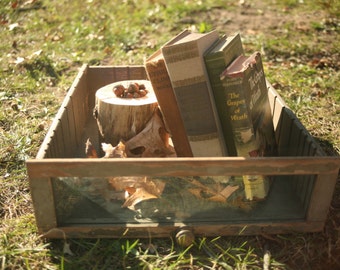 Primitive Drawer, Rustic Box, Old Drawer, Centerpiece, Storage, Winter, Apothecary, Glass Front Drawer