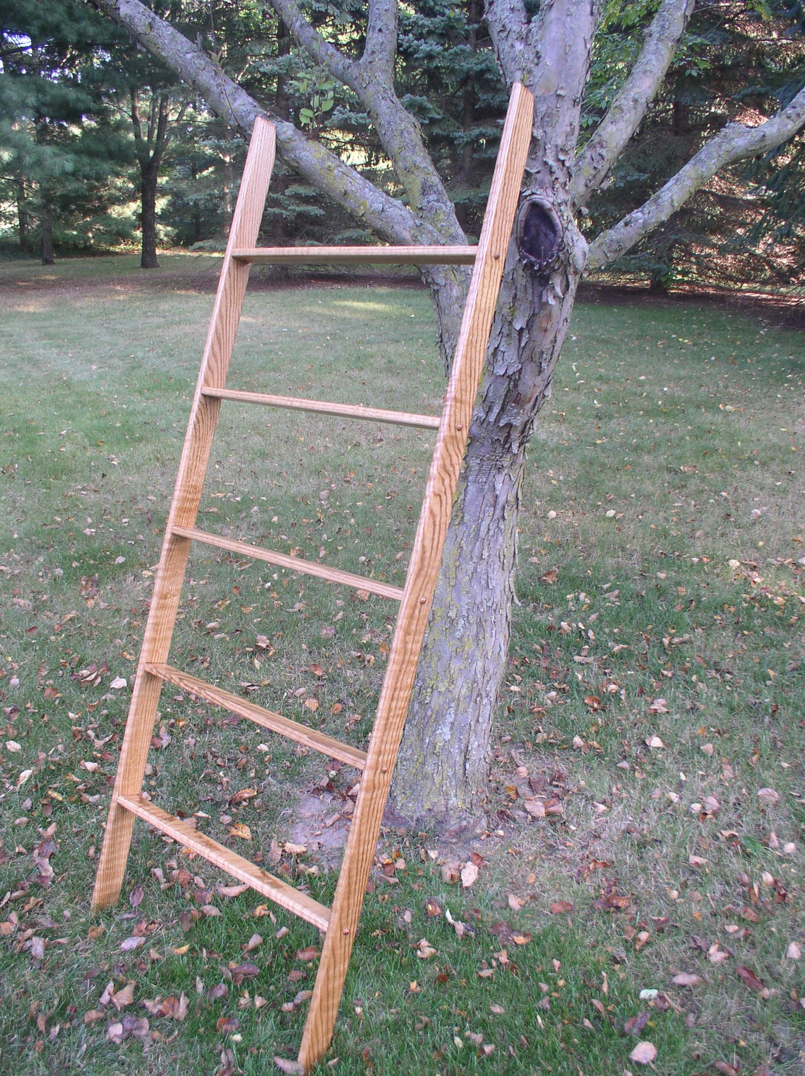 60 Tall Oak Ladder Quilt Rack 6 Different Widths Etsy