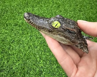 Realistyczny brelok z głową krokodyla, brelok do samochodu z motywem osobliwości zwierząt, gotycki dodatek do gadów