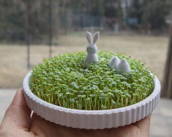 Bandeja de Páscoa com Coelho 3D | Suporte para Agrião | Organizador em PLA | Decoração de Páscoa
