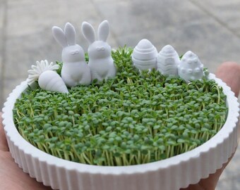 Bandeja 3D para agrião de Páscoa | Organizador de coelho | Decoração de Páscoa em PLA | Suporte canelado