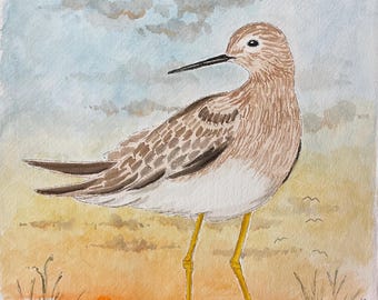 Watercolor Shorebird Painting: Coastal Seascape Art