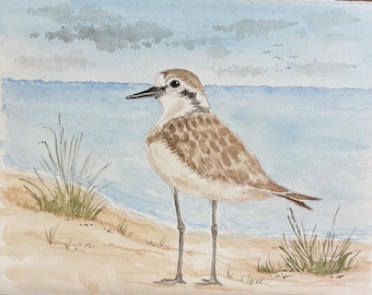 Watercolor Plover Shorebird Painting: Coastal Seascape Art