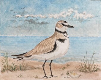 Killdeer Watercolor Painting: Coastal Shorebird Art, Matted 11x14