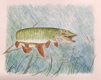 Muskie Fishing Watercolor Painting: Wildlife Lodge Art (9"x12")