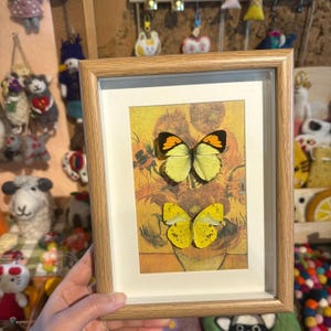 Può includere: Una stampa incorniciata con due farfalle su uno sfondo di girasoli. Le farfalle sono gialle con segni arancioni e neri. La cornice è in legno chiaro e la stampa è incorniciata con un passe-partout bianco.