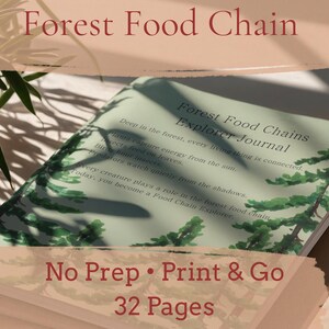 Forest Food Chain Explorer Journal | Kids Homeschool Science (Digital Download)
