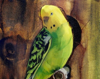 Parakeet Original Oil Painting Realist Bird Wood Frame Animal Pet Portrait Wildlife Yellow Brown