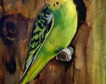 Archival 8" x 10" Giclee Print / Parakeet (no.170) Oil Painting Realism Bird Animal Wildlife Yellow Green Art