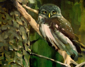 Art Print Owl 8" x 8" Giclee Oil Painting Realism Bird Animal Wildlife Art Nature / Spotted Owl (no.172)