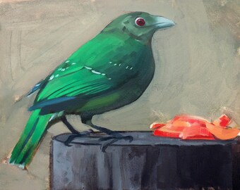 Archival 8" x 10" Giclee Print / Green Catbird (no.161) Oil Painting Realism Bird Animal Wildlife Bright Small