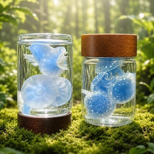 May include: Two clear glass jars filled with liquid and light blue jellyfish-like specimens. The left jar sits on a dark wooden base, while the right jar features a matching dark wooden lid. The specimens inside display translucent blue textures.