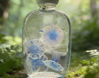 Conjunto de especímenes húmedos de medusas de Papúa conservadas – Decoración oceánica ética, botella de boticario
