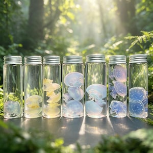Conjunto de especímenes húmedos de medusas reales preservadas, muerte natural ética, rarezas oceánicas, decoración gótica, regalo curioso