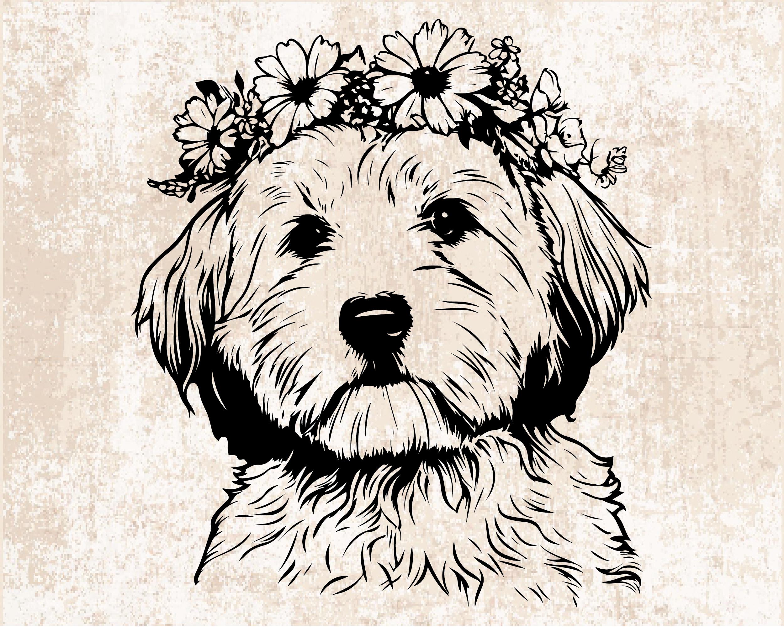 Cavapoo Silh Cavapoo Silhouette SVG PNG Clipart, Dog Breed Vector Files - Etsy