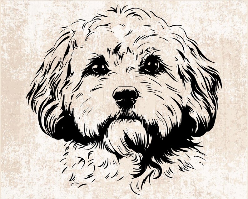 Cavapoo Silh Cavapoo Silhouette SVG PNG Clipart, Dog Breed Vector Files - Etsy