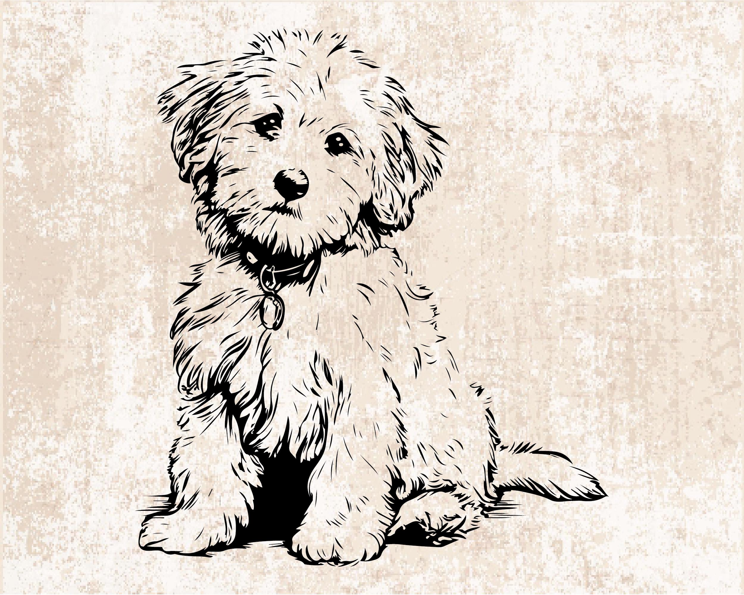 Cavapoo Silh Cavapoo Silhouette SVG PNG Clipart, Dog Breed Vector Files - Etsy