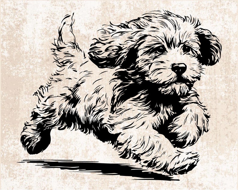 Cockapoo Silhouette SVG PNG, Cockapoo Dog Clipart for Cricut Puppy Pet ...