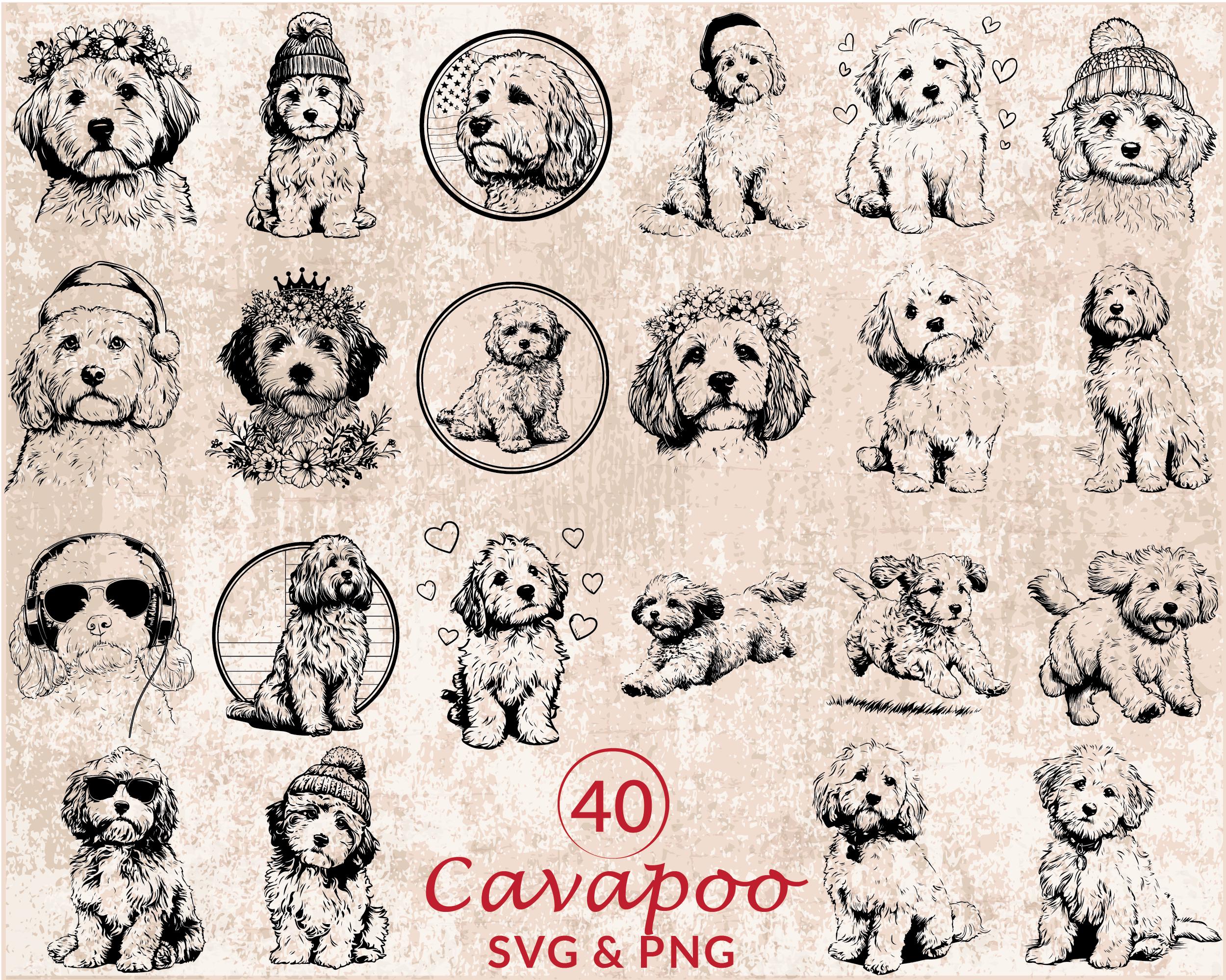 Cavapoo Silhouette SVG PNG Clipart, Dog Breed Vector Files - Etsy